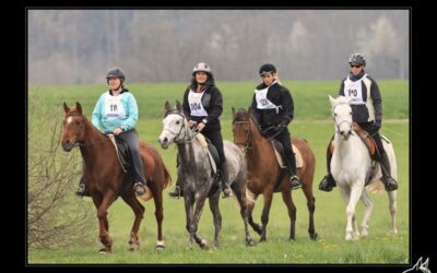 Erster Distanzritt der Saison