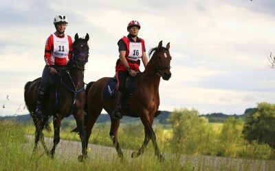 EnTHURance – Eine gelungene Premiere!