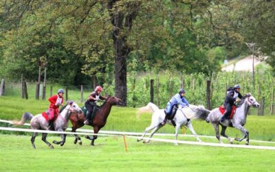 Sieg, Silber und Qualifikation